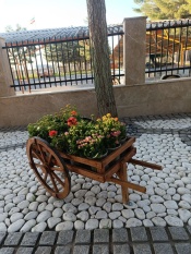 گزارش تصویری؛ اجرای طرح استقبال از بهار ۱۴۰۴